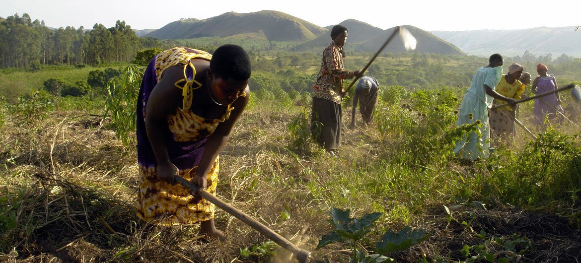 Disputes over land ownership can lead to violence.