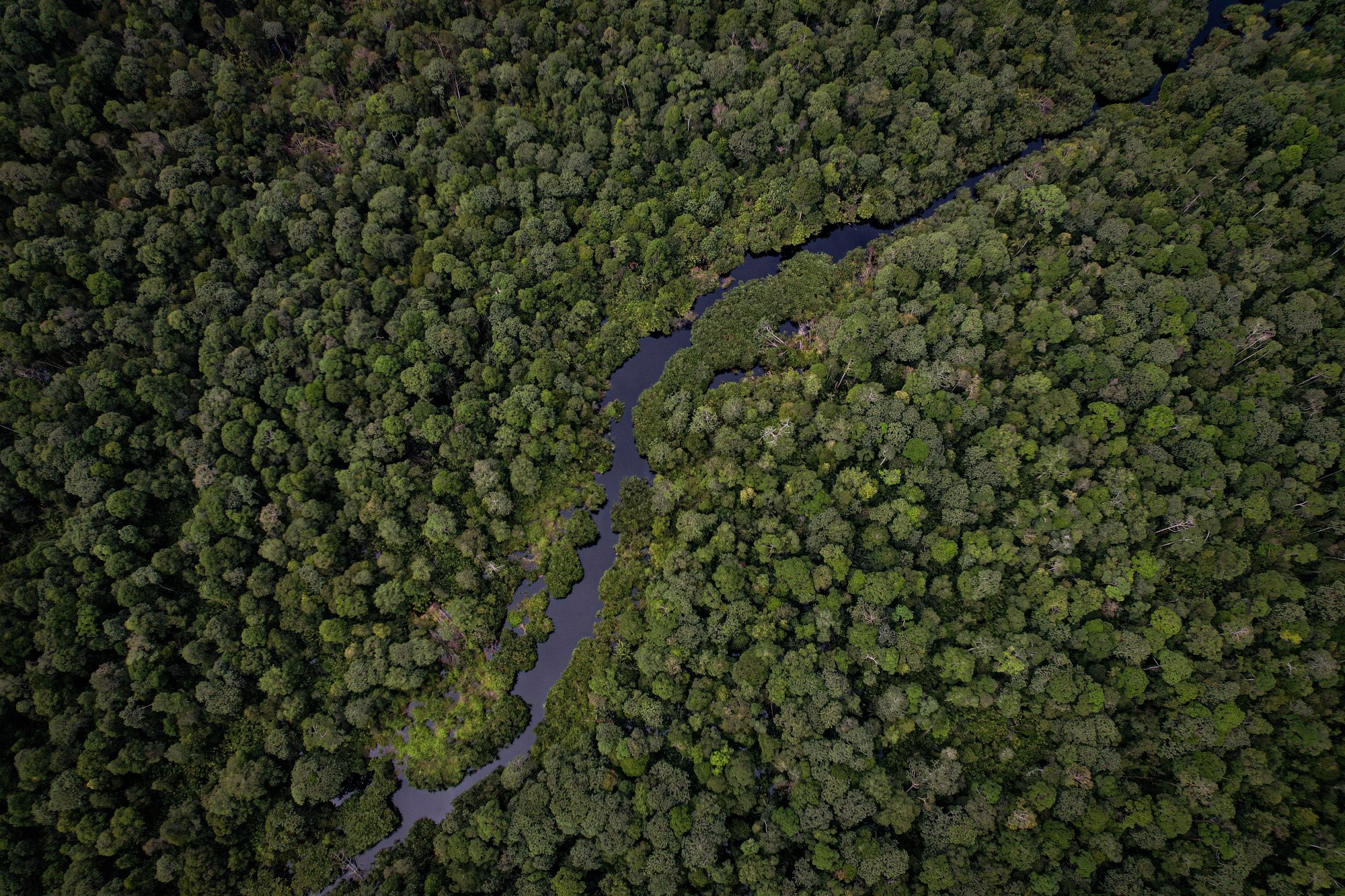 Pulp and paper manufacturer APRIL is restoring more than 150,000 hectares of degraded forest in Riau province, on Indonesia’s island of Sumatra.