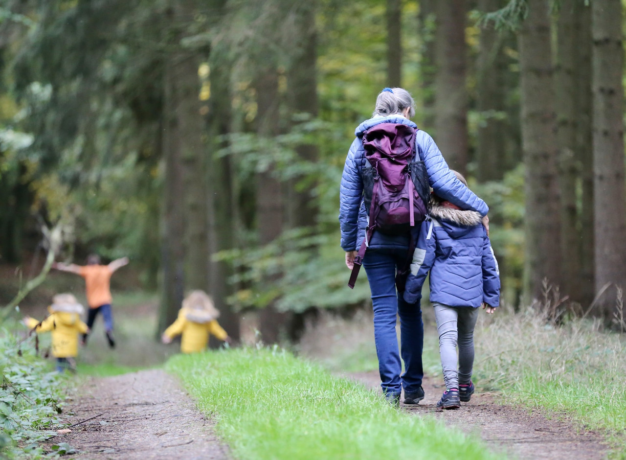 Eco-friendly summer activities for kids 1