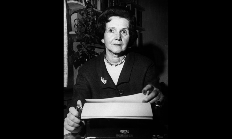 In Silent Spring Rachel Carson Took on the Chemical Industry and Captured the Worlds Attention.png