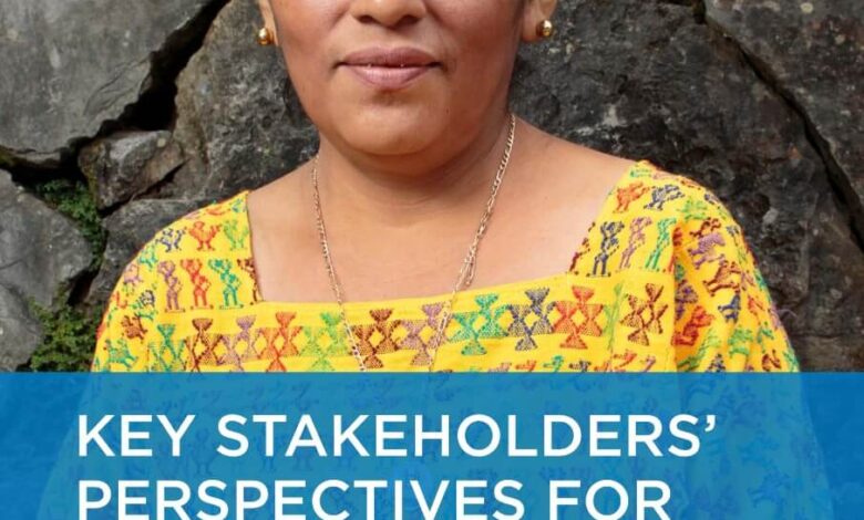 Key stakeholders perspectives for UN Womens next strategic plan en.jpg