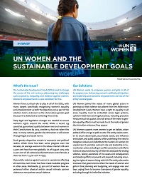 SDG brief cover EN.jpg