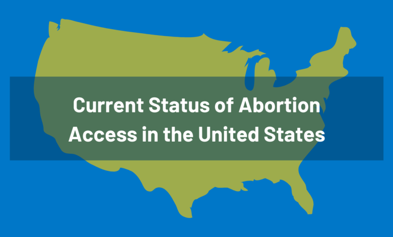 TEMPLATE Abortion Map.png
