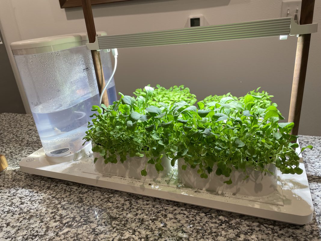 AUK SelfSustaining Indoor Garden Review