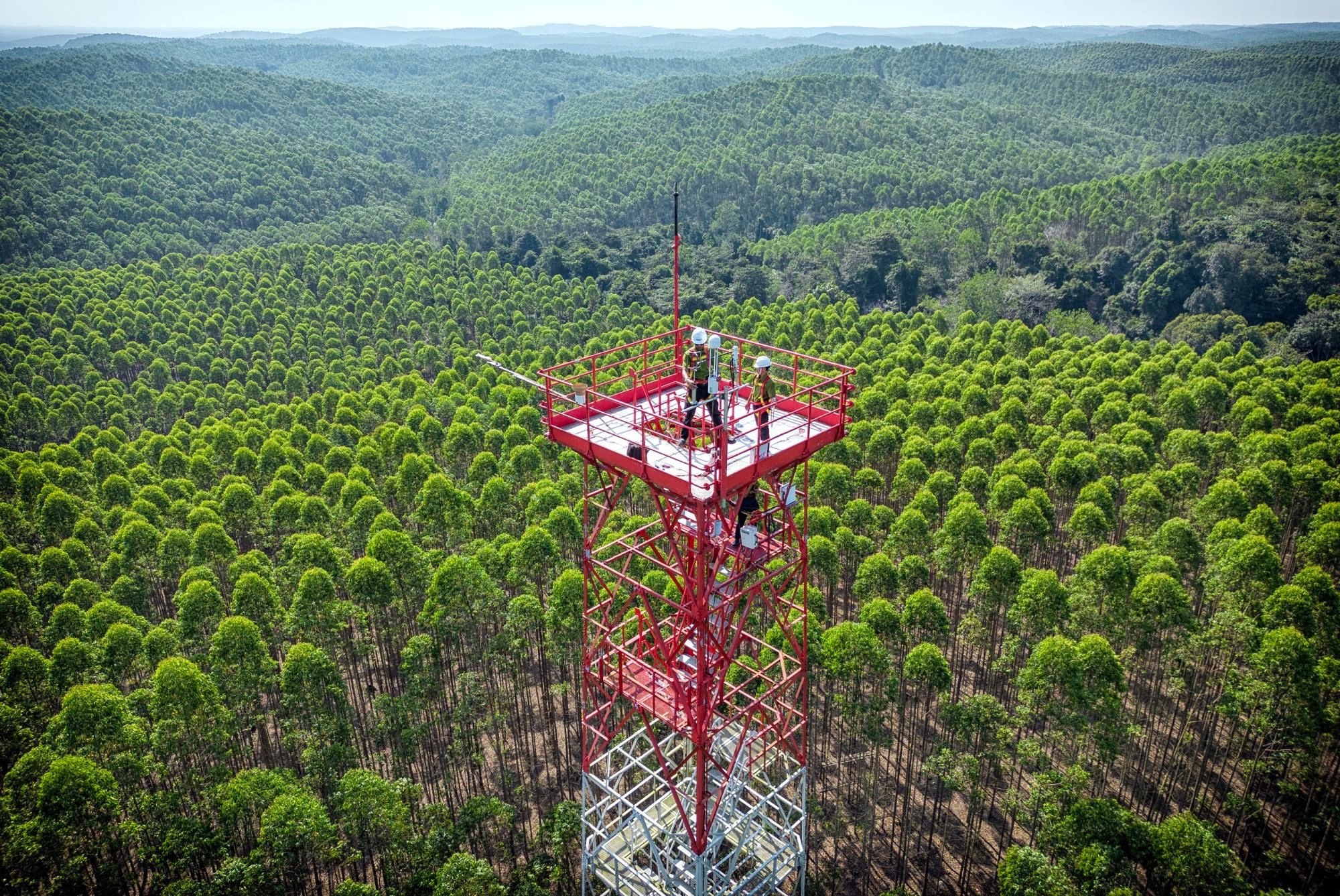 Scientists at APRIL collect data from one of its greenhouse gas flux towers, which monitor levels of methane and carbon dioxide across the forestry and oil-palm plantation and conservation areas of Riau province, on the Indonesian island of Sumatra.