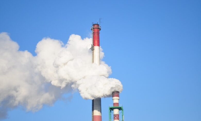 carbon footprint.jpg