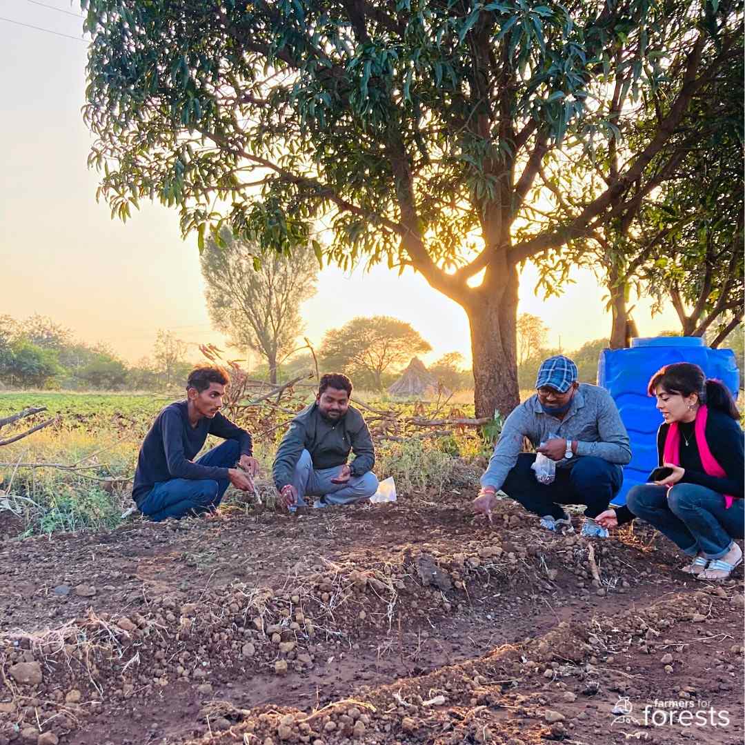 Climatesense couples drone technology with satellite data and AI to find a solution to deforestation