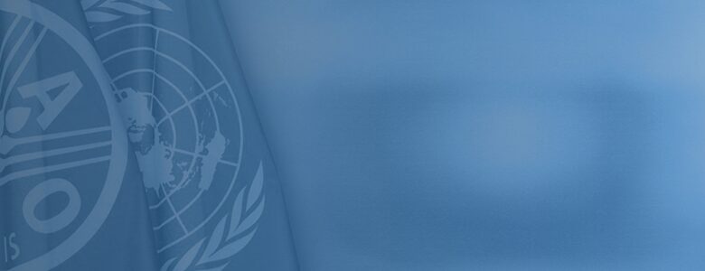 fao logo window.jpg