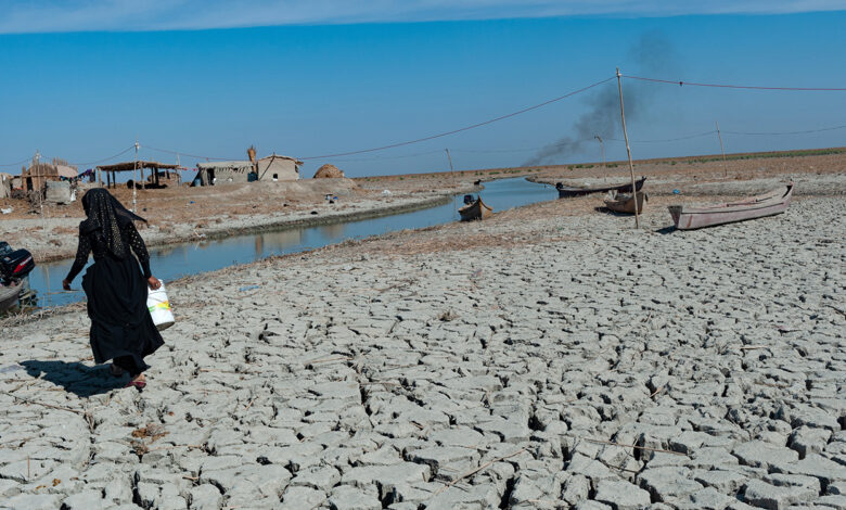 iraq website cover temp.jpg