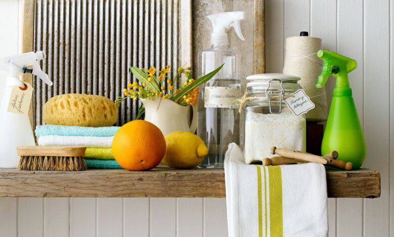 shelf cleaning supplies feaa dacbcbaebdbdfcfe.jpg