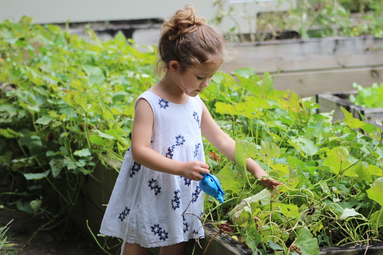 teach kids how to garden