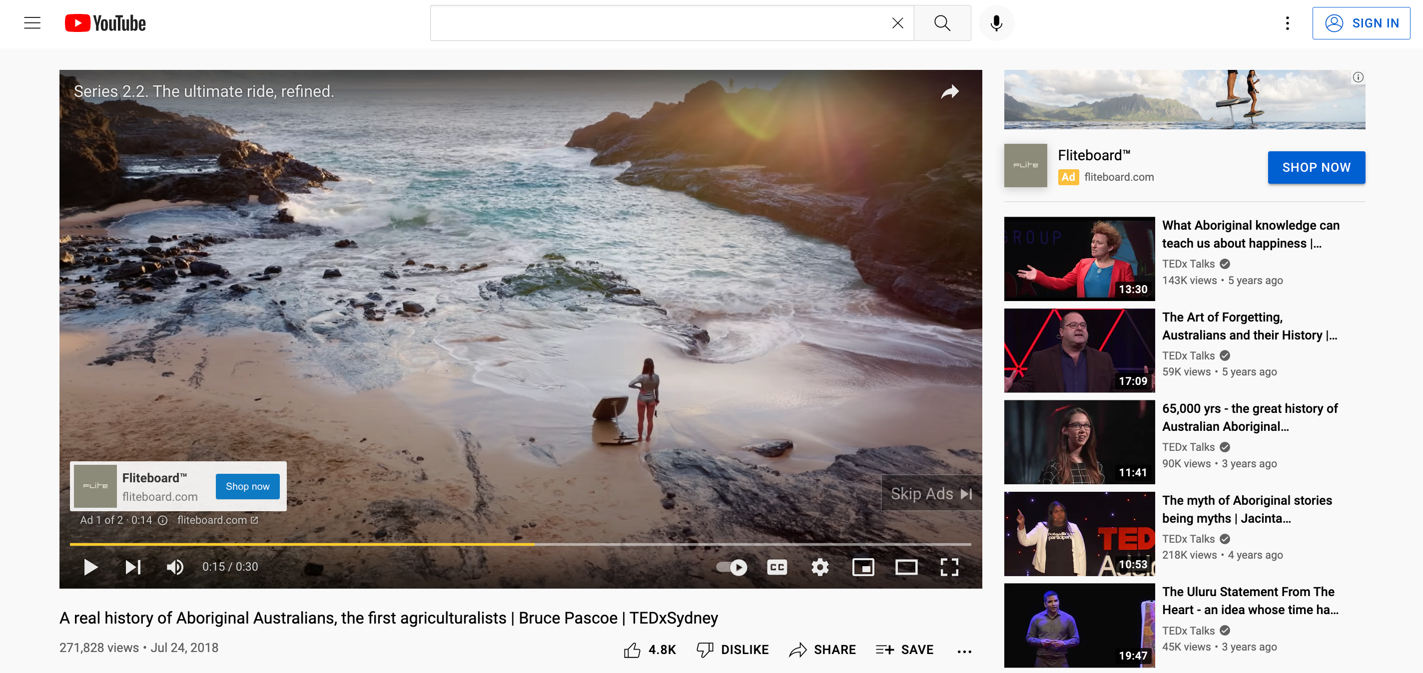 Screenshot of a YouTube in-stream ad example.