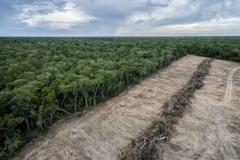 An aerial view of a deforested zone in "Ñembi Guasu" conservation area. In Guarani language, Ñembi Guasu means “the great refuge.” Unfortunately, the newest Bolivian National Park is being threatened by hundreds of looters or "colonos" who invade the protected areas in the Chaco to expand expand farming land in eastern Bolivia, including Ñembi Guasu in recent years.