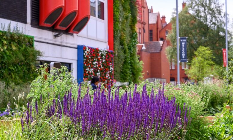 IGNITION Greening Manchester.jpg
