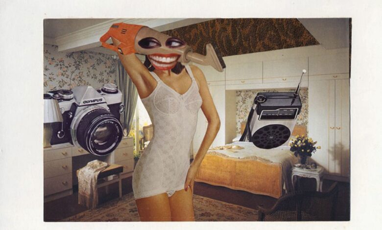Linder Untitled . Printed papers on paper x mm. Purchased by Tate.jpg