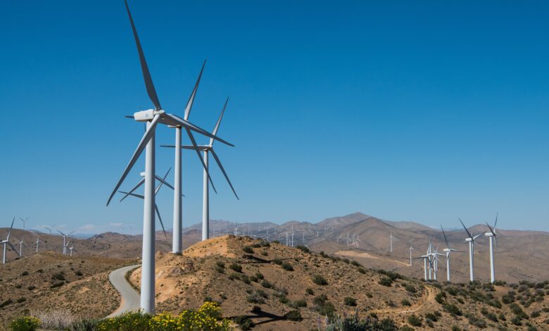 Women in Wind Energy hero graphic.jpg