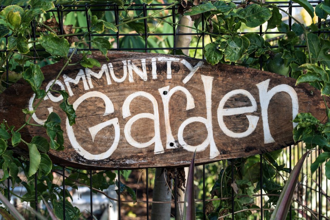 sustainable living principles