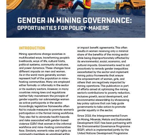 gender mining governance cover.jpg