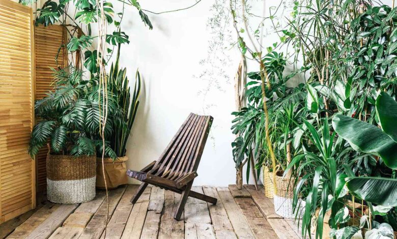 ms plant design getty bbfdcaffb.jpg