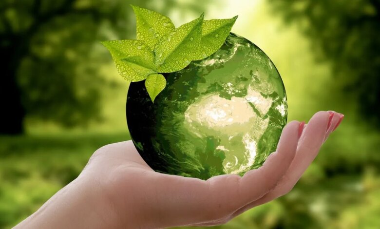 sustainable .jpg