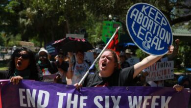 florida abortion .jpg