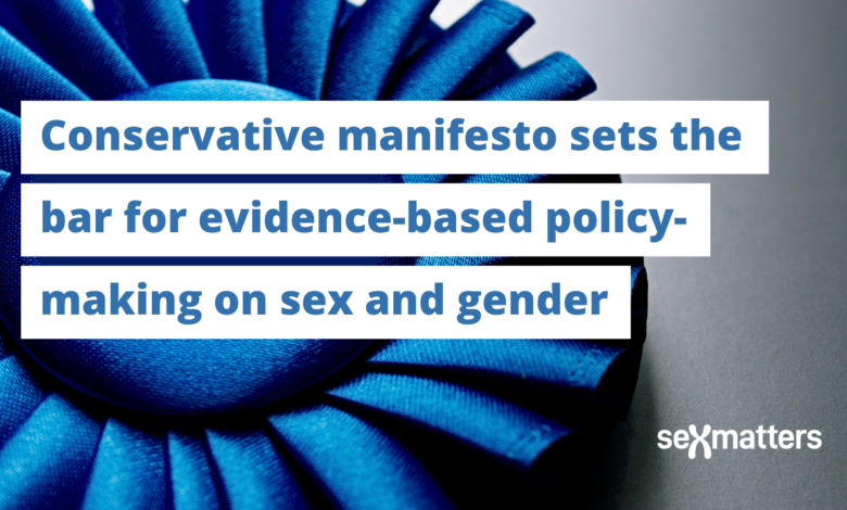 Conservative manifesto.png