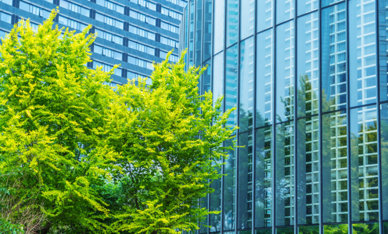 Corporate sustainability image .jpg