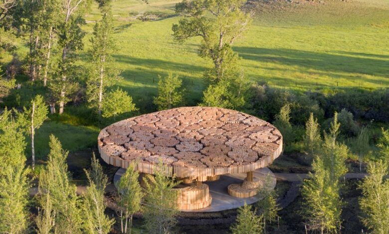 Xylem The visitors pavilion at the Tippert Rise Art Centre Kere Architecture Photo by Iwan Baan.jpg