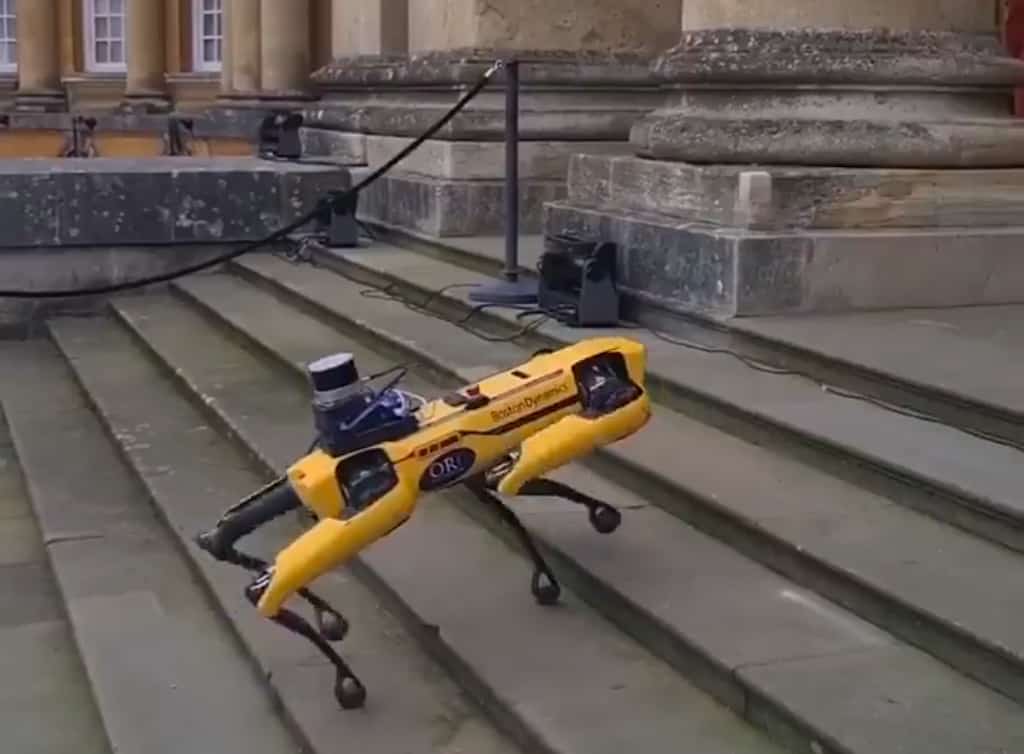 blenheim palace robot dog