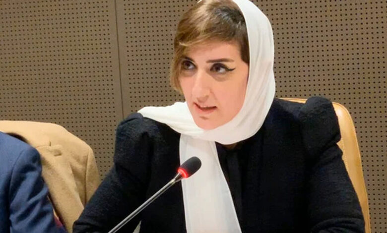 sarah asfour united nations .jpg